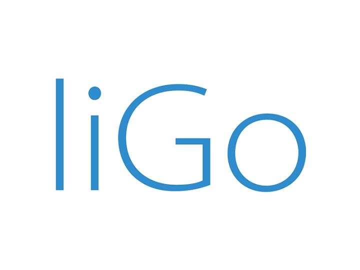 Ligo Electronics